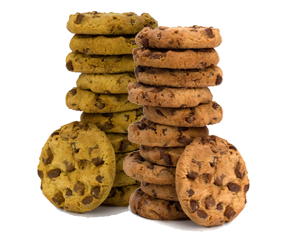 Biscuit / Rusk / Cookies